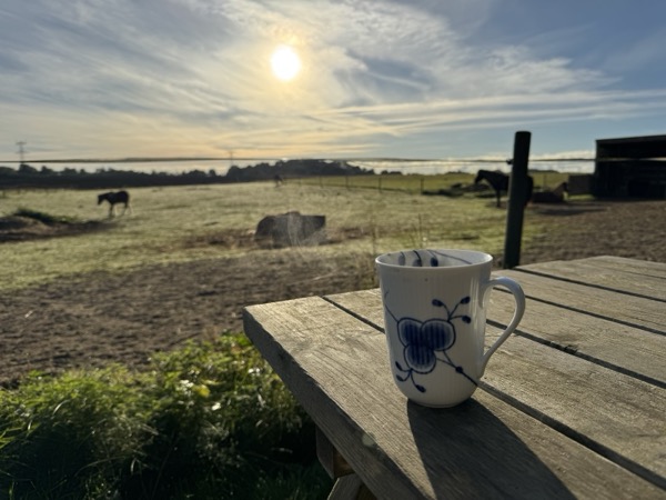 Morgenhygge