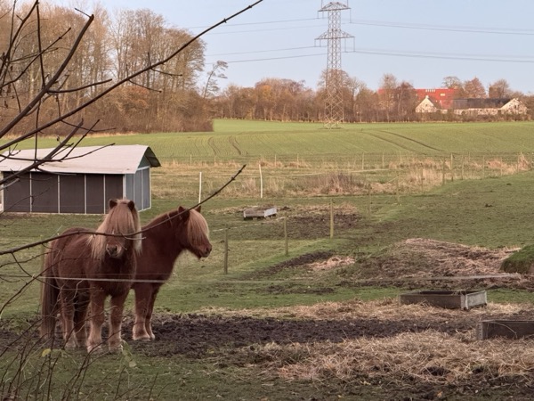 Ravnholt Fuglsang