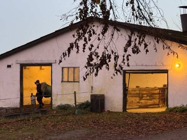 Stalden i tusmørket