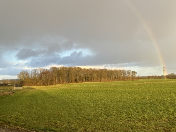 Ravnholt Fuglsang