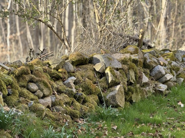 Ravnholt Fuglsang